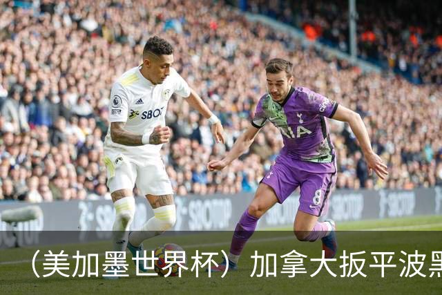 （美加墨世界杯）加拿大扳平波黑 获队史世界杯首分